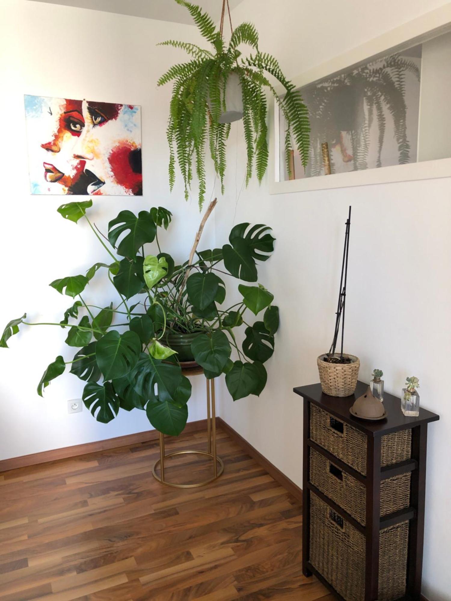 Bel Appartement Nimois Au Calme Avec Balcon Nimes Exterior foto